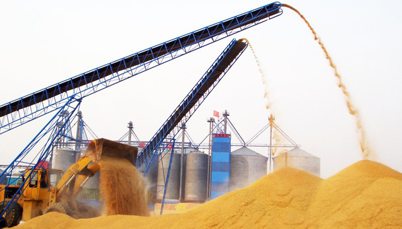 corn storage after harvest