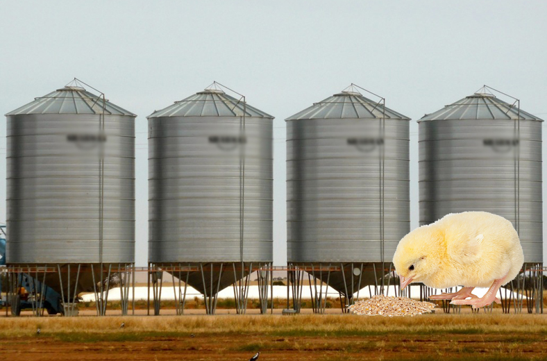 feed silo