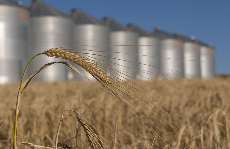 grain storage bin