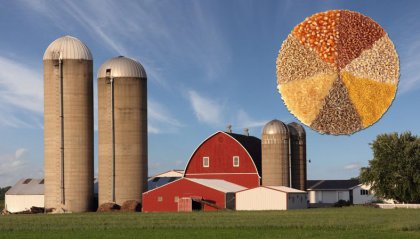 The development and current condition of grain silo