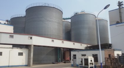 Grain storage silo