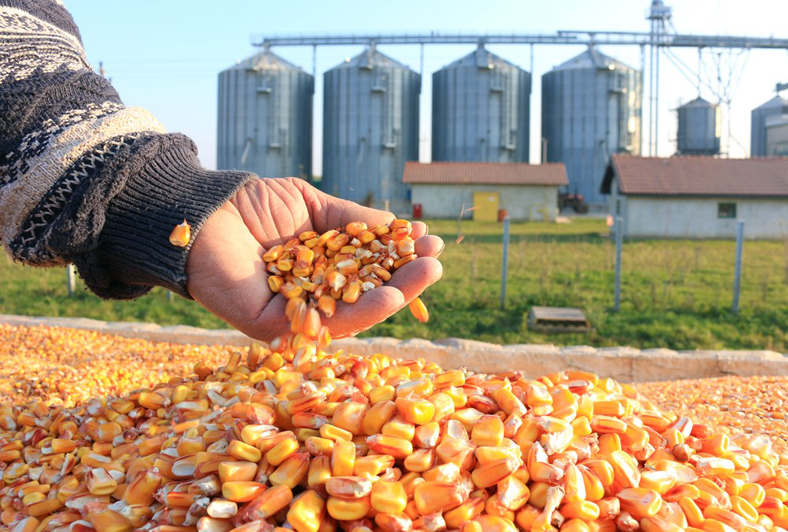 grain silo application