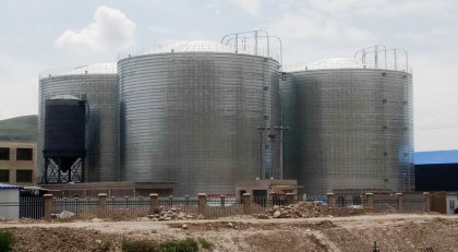 Lime storage silo