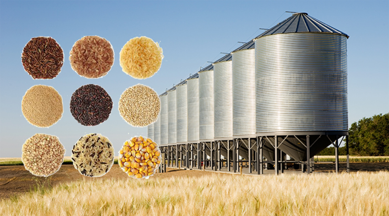 grain silo storage